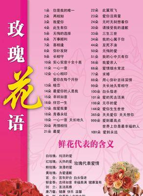 白色带花语的花有哪些？白色花语代表什么？