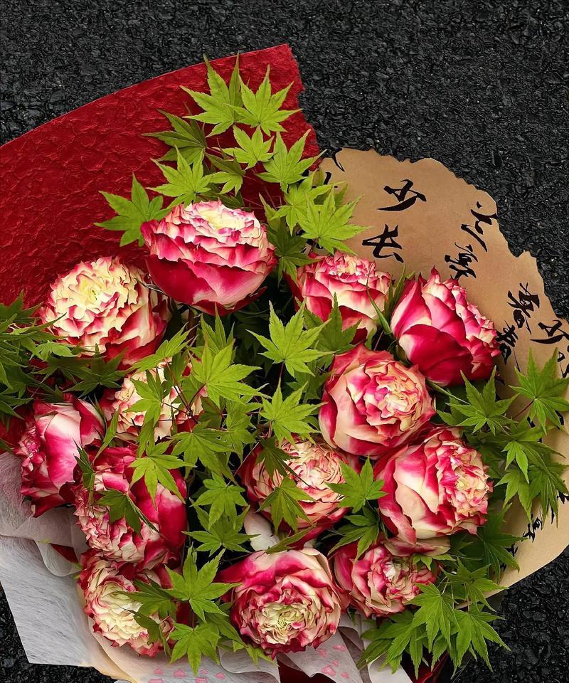 午后玫瑰什么花语？午后玫瑰代表了什么？