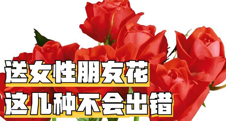 插花送朋友时应选择哪些花？花语和寓意分别是什么？