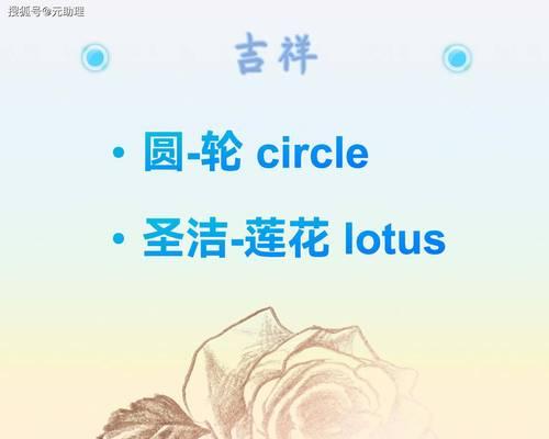 叠莲花的寓意和花语是什么？它在宗教和文化中有何地位？