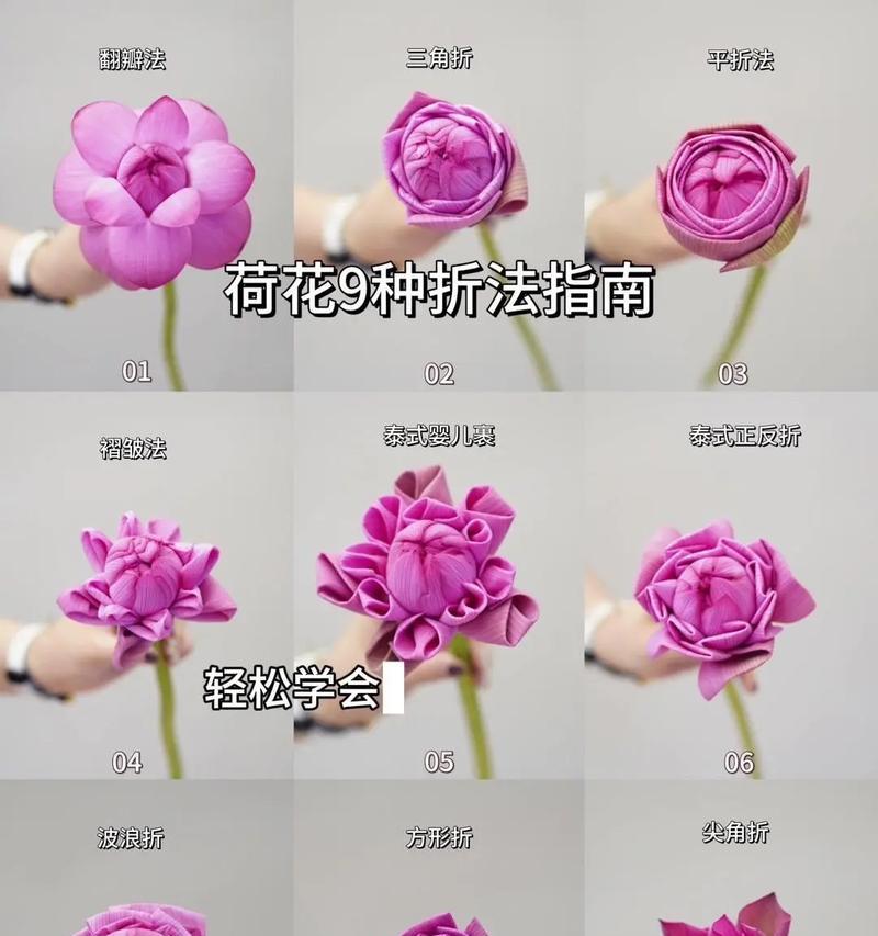 叠莲花的寓意和花语是什么？它在宗教和文化中有何地位？
