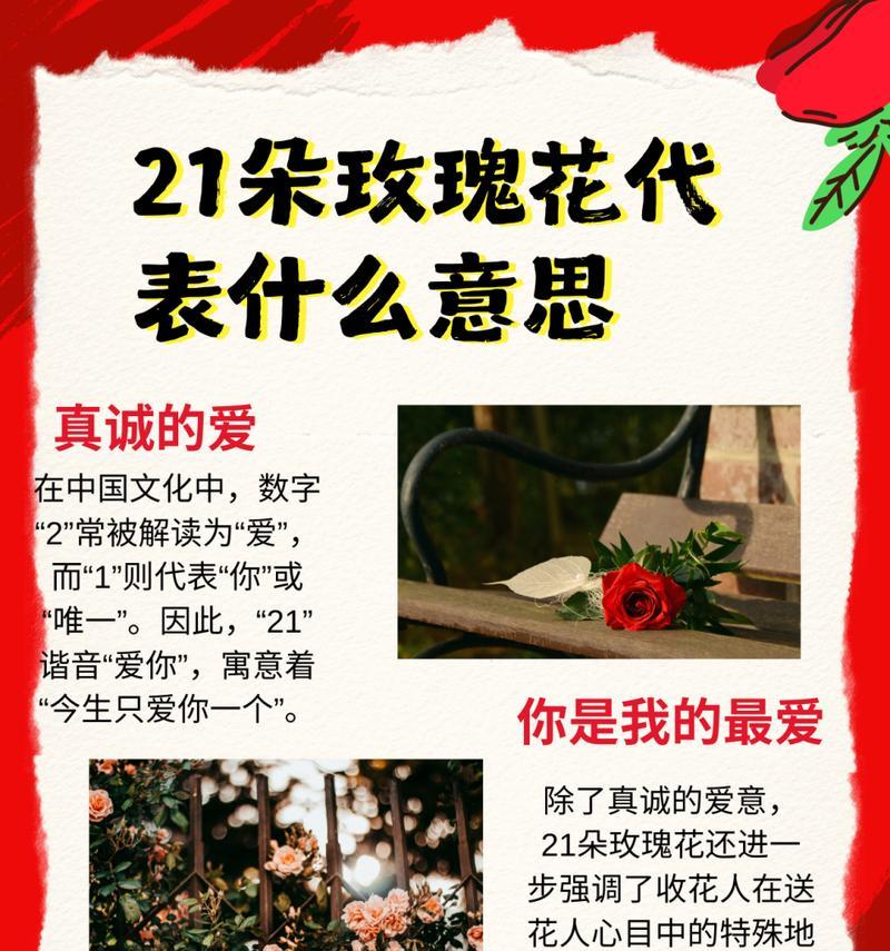 成功男人的标配花语是什么？哪种花代表成功？