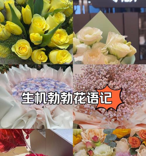 杂乱花束的花语有何寓意？