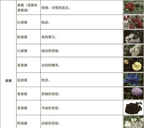 花语月色的结局预示着什么？