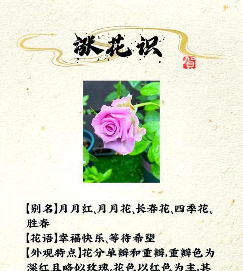 花语月色的结局预示着什么？