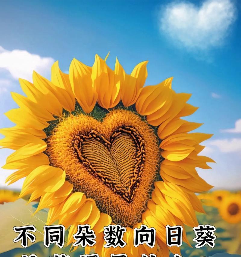 什么花语代表过年？过年时应该选择哪种花？