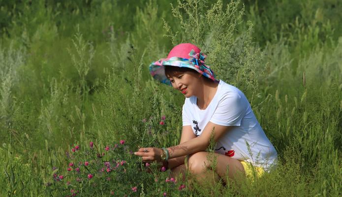回到从前的花语是什么？哪些花能表达怀旧之情？