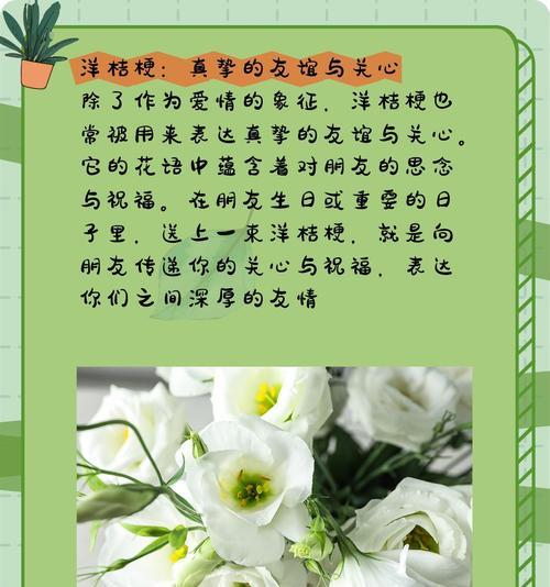 白桔梗与白玫瑰组合的花语是什么？