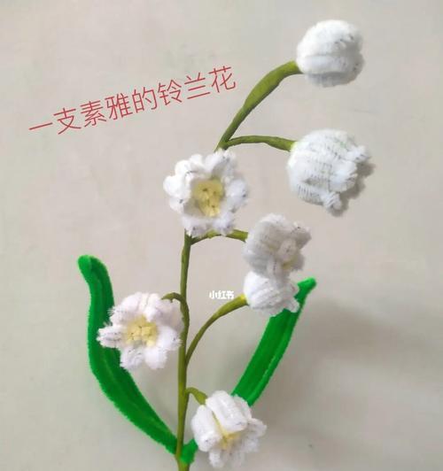 六一儿童节送闺蜜花语有何含义？