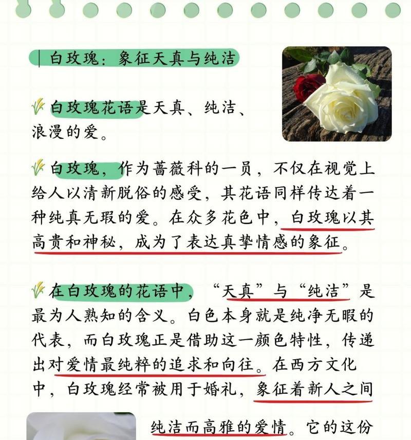 剪掉玫瑰花有何特殊含义？男朋友剪玫瑰花的寓意是什么？