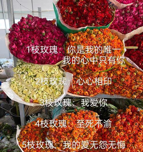 66束玫瑰花束的花语是什么？66朵玫瑰代表什么意义？