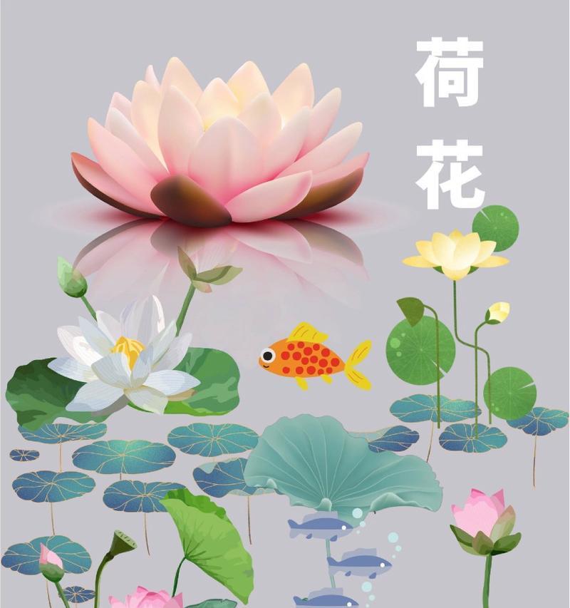 菲比适合哪种花的花语？