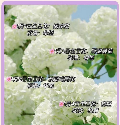 送人月桂的花语是什么？月桂在赠送时代表了什么？