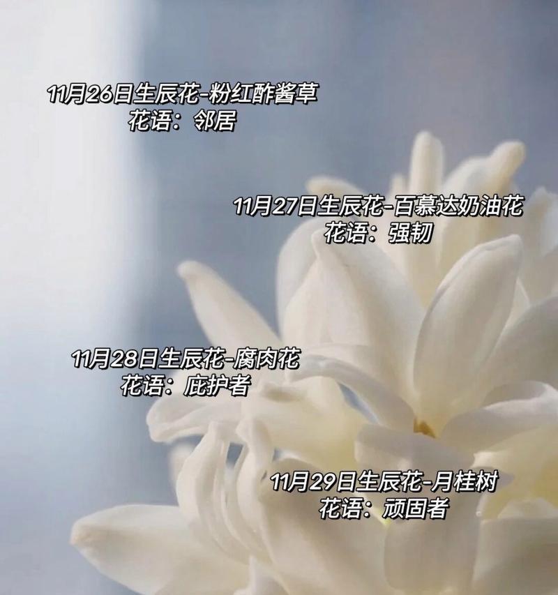 送人月桂的花语是什么？月桂在赠送时代表了什么？