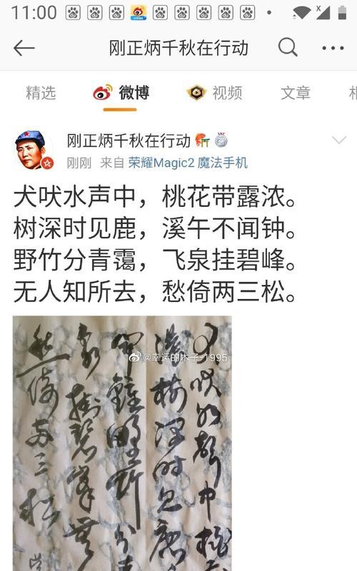 桃花的花语能用20个字概括吗？