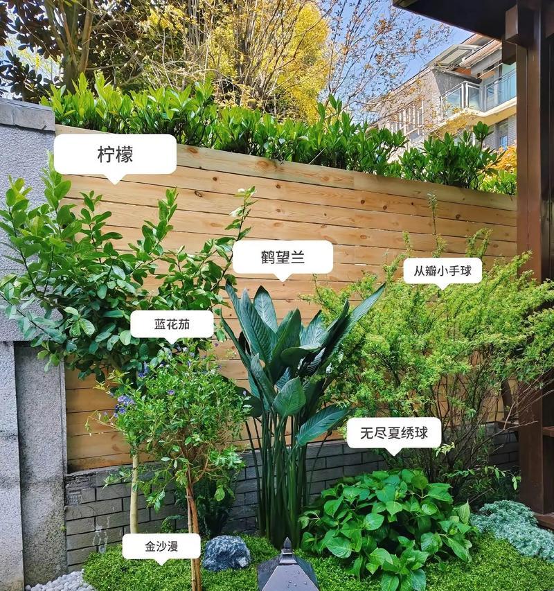 花语堂是什么项目开发的？它是由哪个团队开发的？
