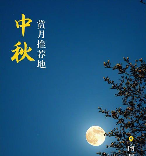 月光荷花的花语有何寓意？