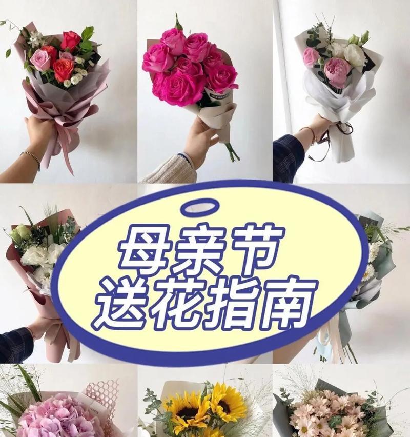 蔬菜康乃馨的花语有何特别之处？