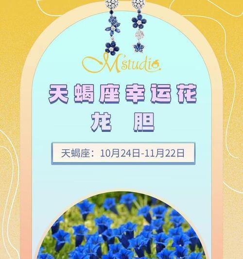 花语中幸运的意思通常指什么？