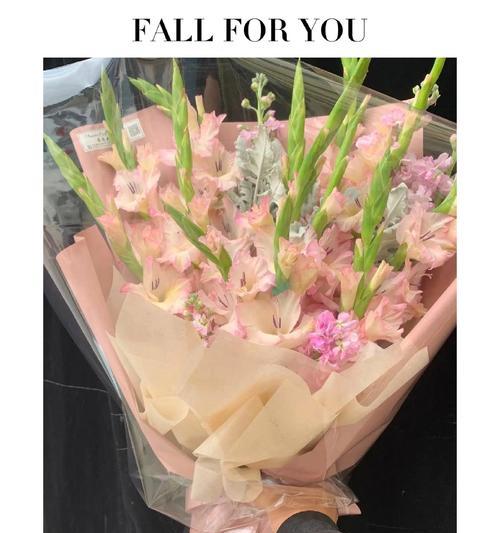 剑兰花代表什么？花语有哪些含义？