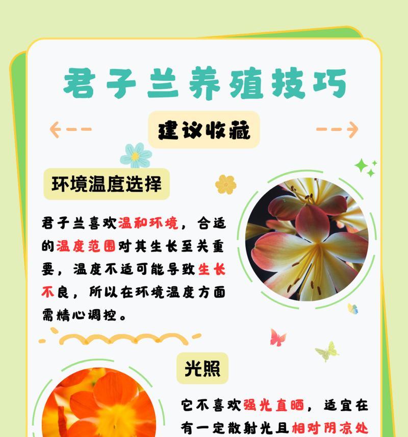 君子兰缺水不开花的原因是什么？
