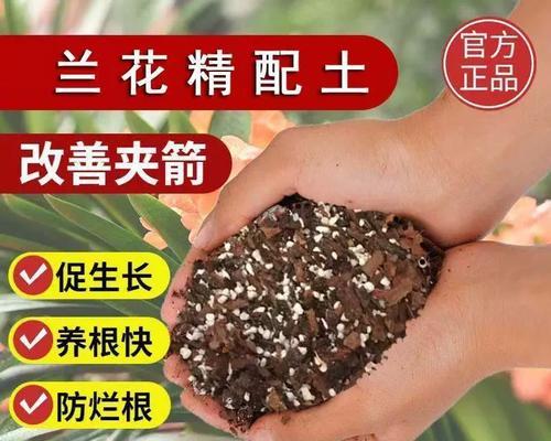 君子兰栽培需要哪些特定植料？