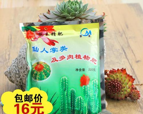 多片仙人掌种植步骤是什么？如何管理？