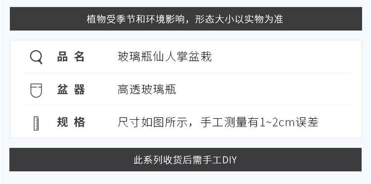 玻璃瓶中种植仙人球的方法是什么？