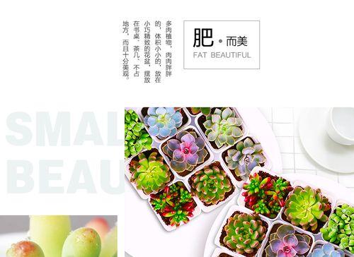 黄花老桩仙人掌的养护和浇水方法是什么？
