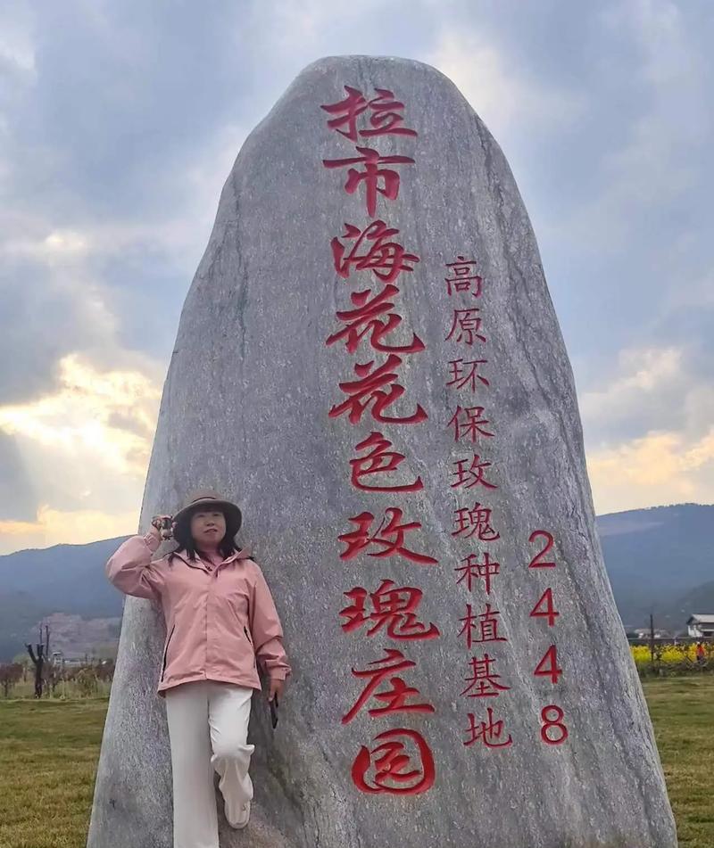 庄园爱心玫瑰花怎么养？有哪些注意事项？