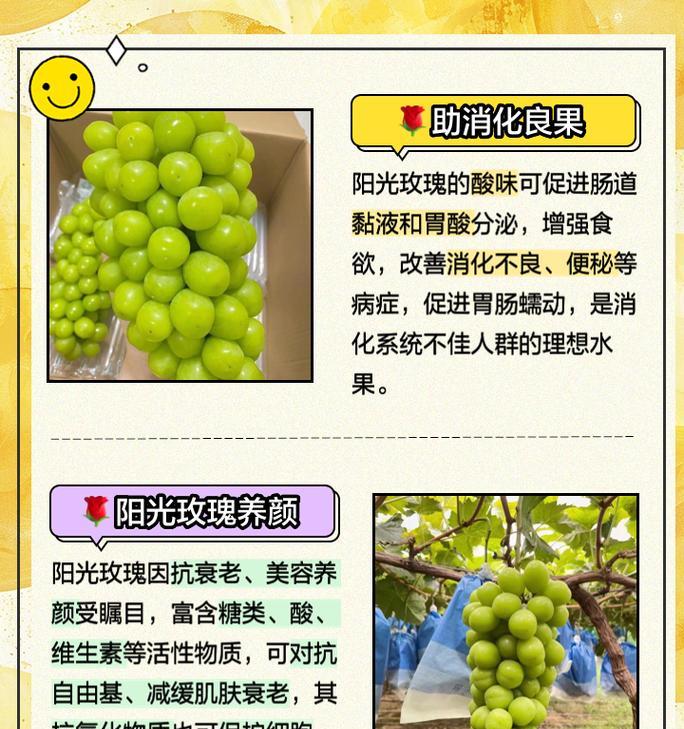 仙人球和阳光玫瑰在外观上有何不同？