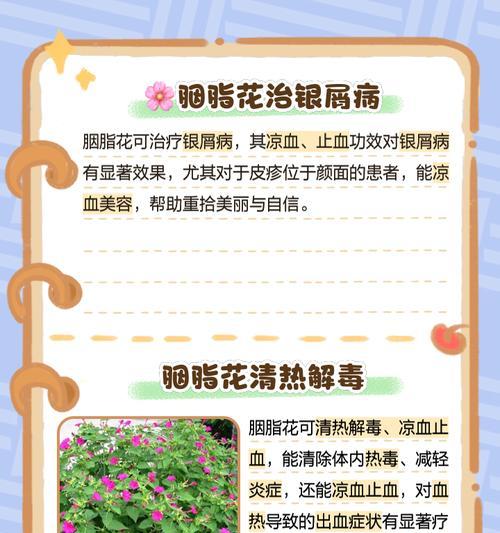 胭脂仙人球的种植步骤和要点是什么？