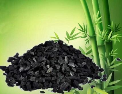 用竹炭种植仙人掌好吗？具体种植方法是什么？