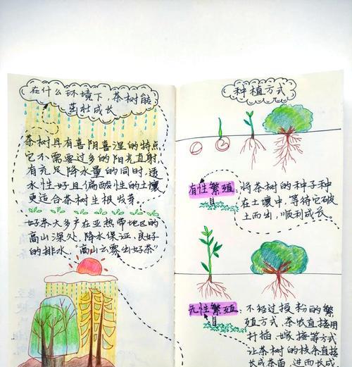 仙人掌丘丘叶子如何安全摘取？操作步骤是怎样的？