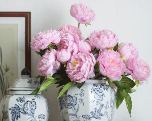 陶罐种植牡丹花需要注意哪些养护要点？