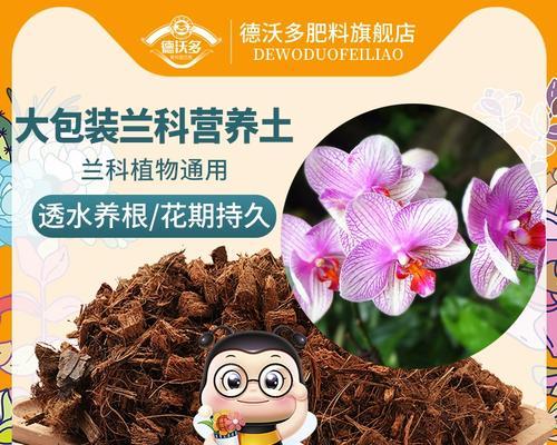 家用君子兰肥料使用方法是什么？