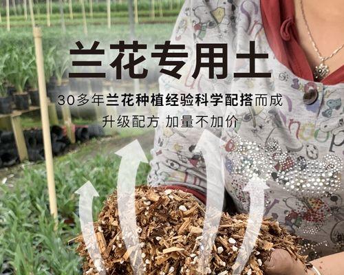 君子兰球形土种植方法是什么？