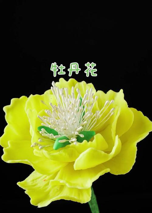 牡丹花大花盆如何制作？需要哪些材料和步骤？