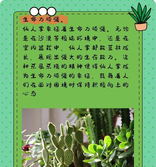 仙人掌怎么养才能更好的生长？如何促进仙人掌健康生长？