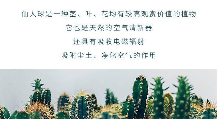 仙人球茎软化的原因是什么？