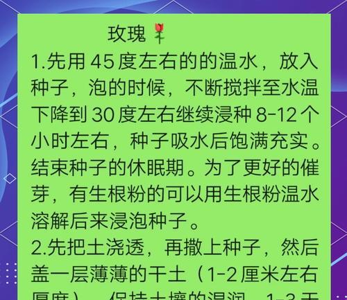 玫瑰花施肥的正确方法是什么？
