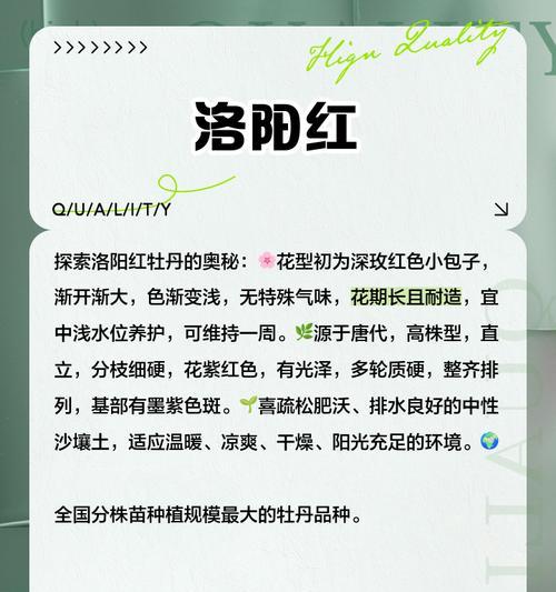 牡丹花有哪些品种及其特点？