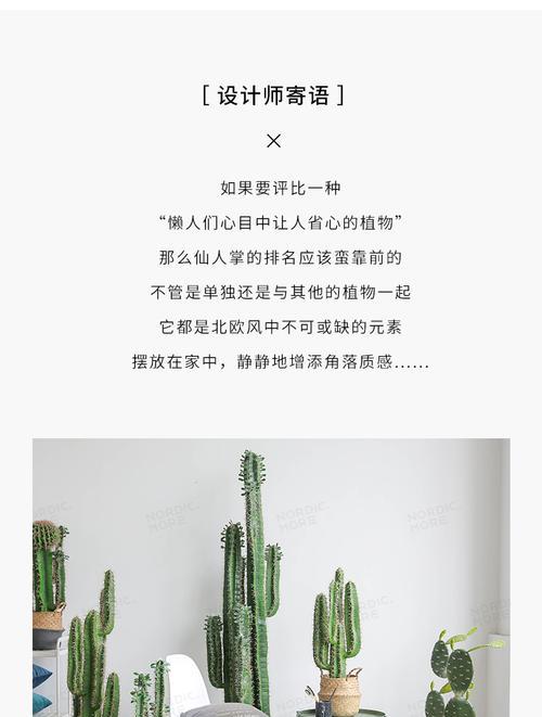盆景仙人掌过长如何修剪？