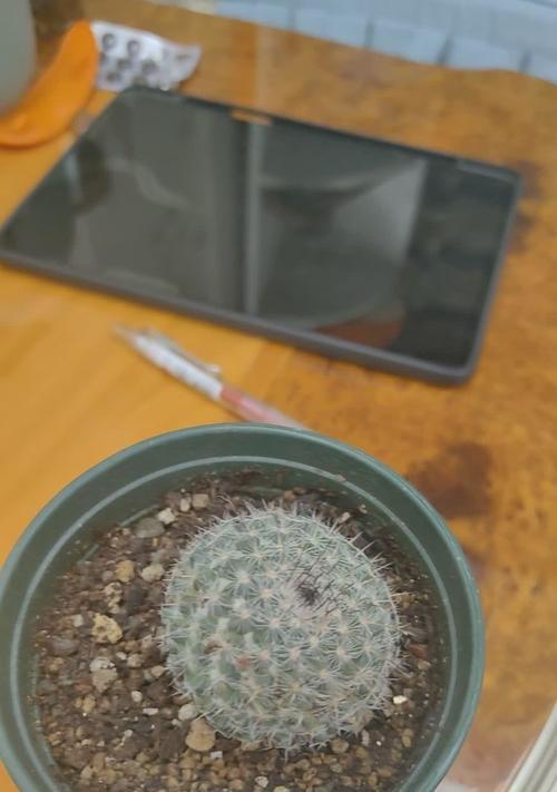 太平丸仙人球的养殖技巧有哪些？