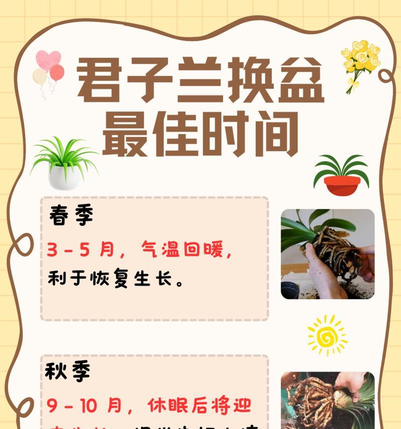 湖北君子兰冬季养护管理技巧？