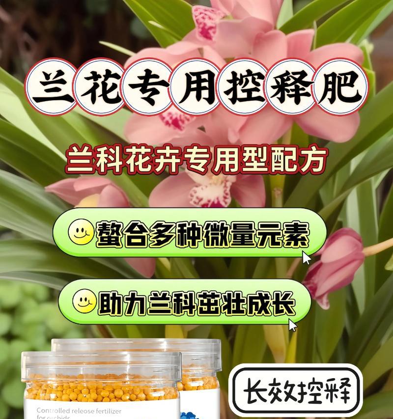 君子兰长叶子的肥料怎么用？促进君子兰叶子生长的肥料使用方法是什么？