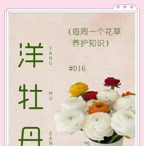 带毛的牡丹花养护有哪些技巧？