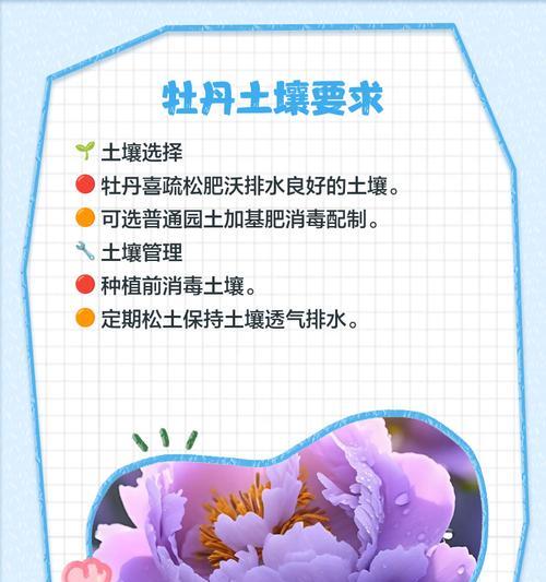 带毛的牡丹花养护有哪些技巧？
