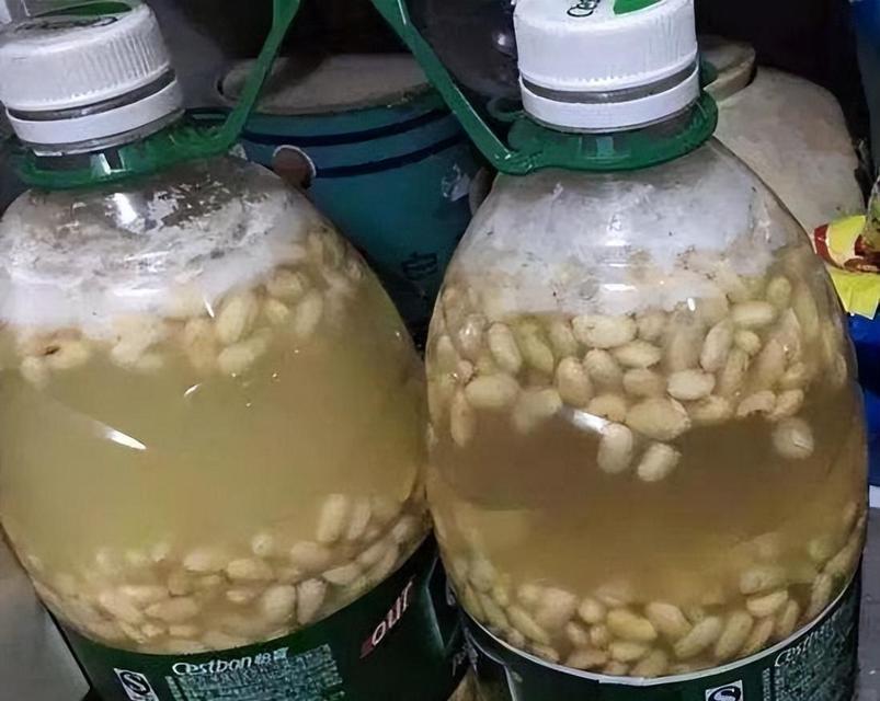 君子兰浇水时应使用哪种肥料？