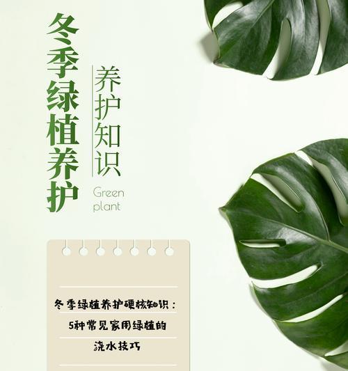 如何用英语表达给仙人掌浇水？